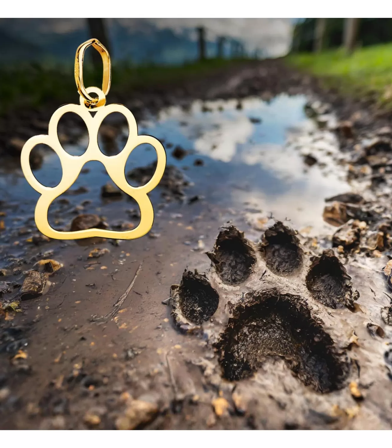 Colgante Huella Perro Oro Amarillo 18K<Alda Joyeros Shop