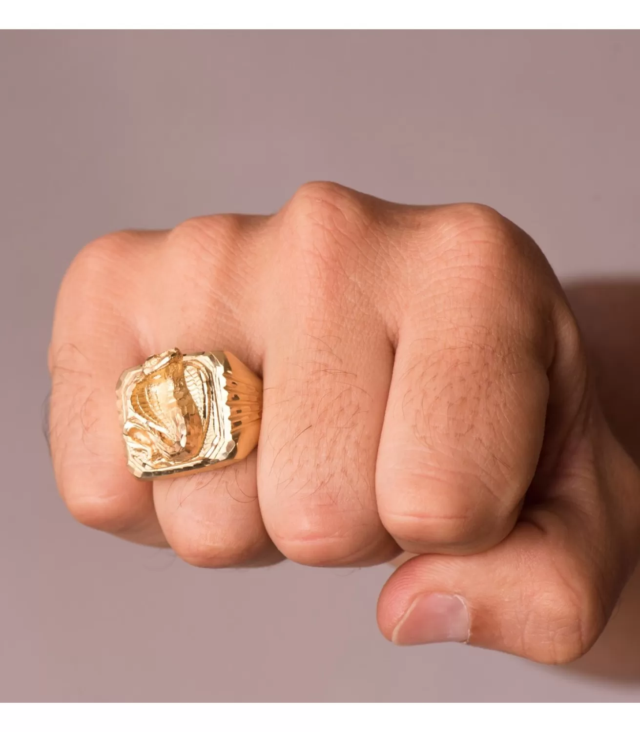 Sello De Hombre Serpiente Oro Amarillo 18K<Alda Joyeros New